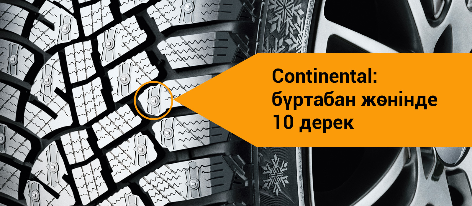 Continental: бүртабан жөнінде 10 дерек   
