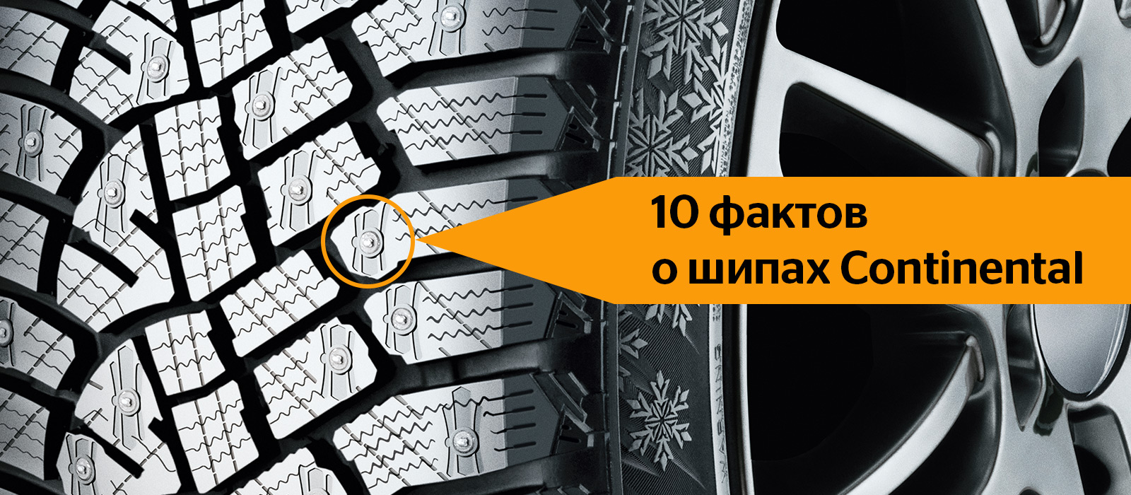 Continental: 10 фактов о шипах