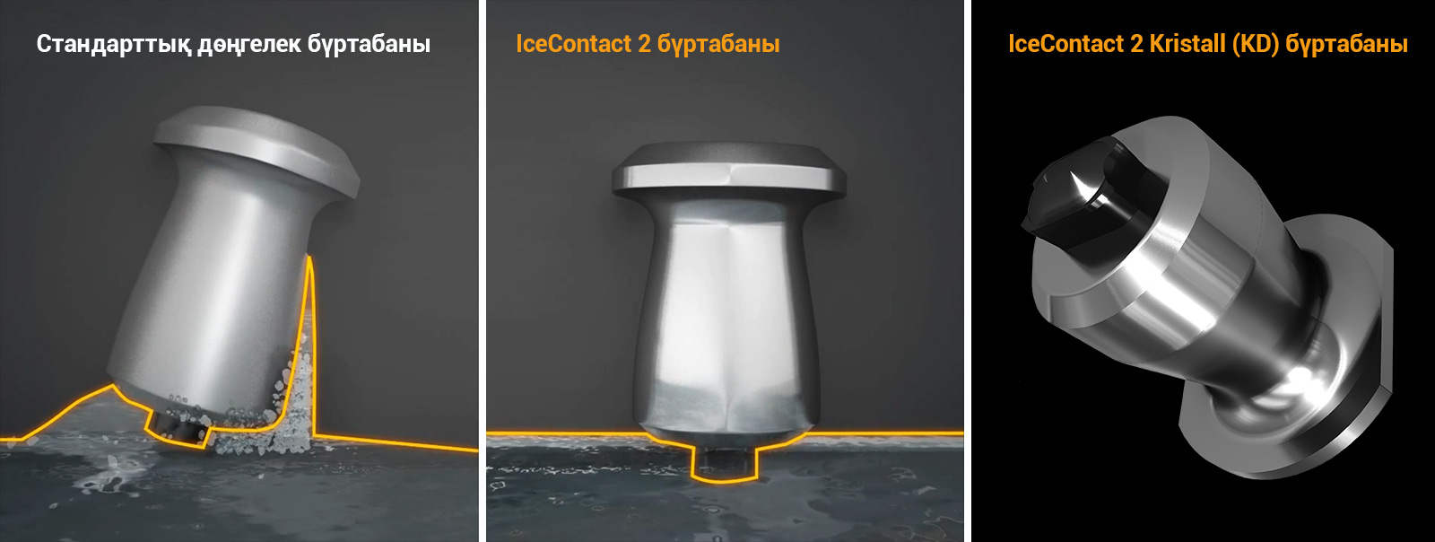 Continental: бүртабан жөнінде 10 дерек   